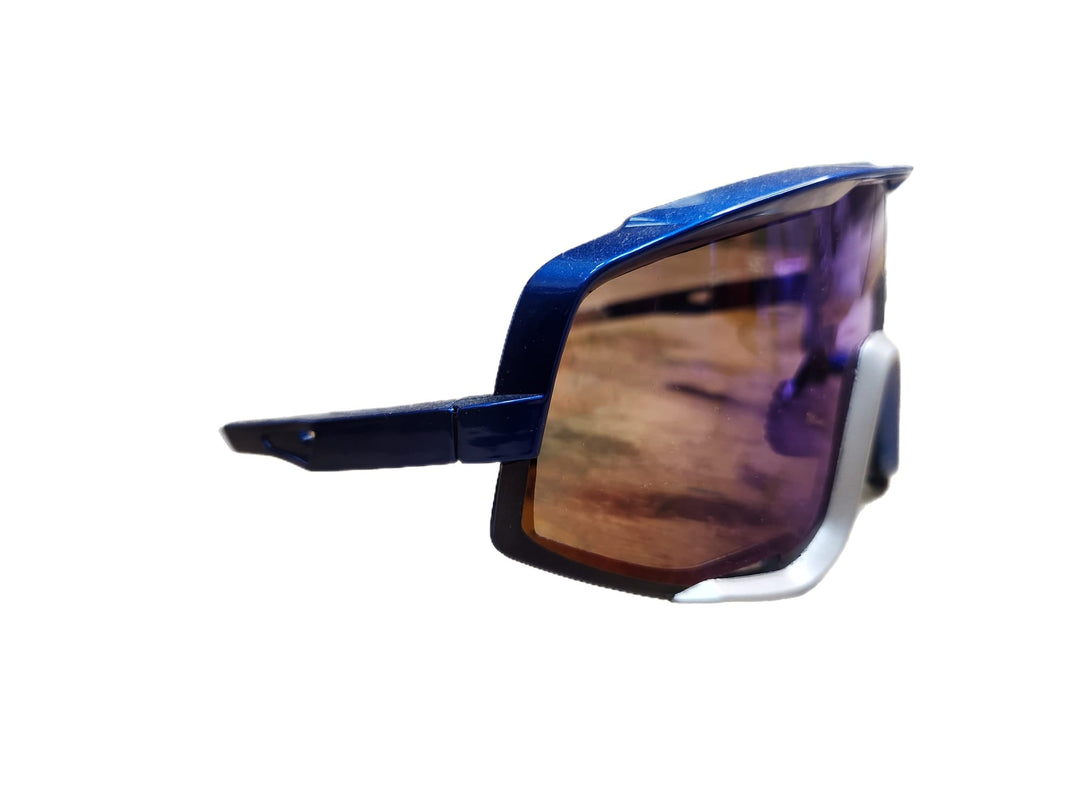 Blue Frame Ski Shades